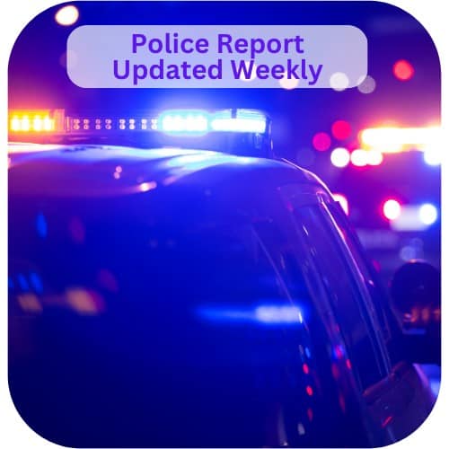 Police Report