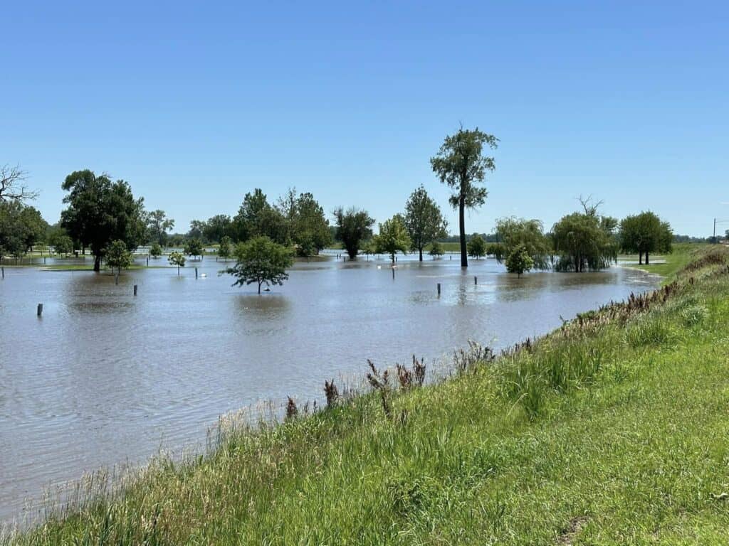 Bellevue Times » Haworth Park Floods as River Levels Continue to Rise » July 21, 2026