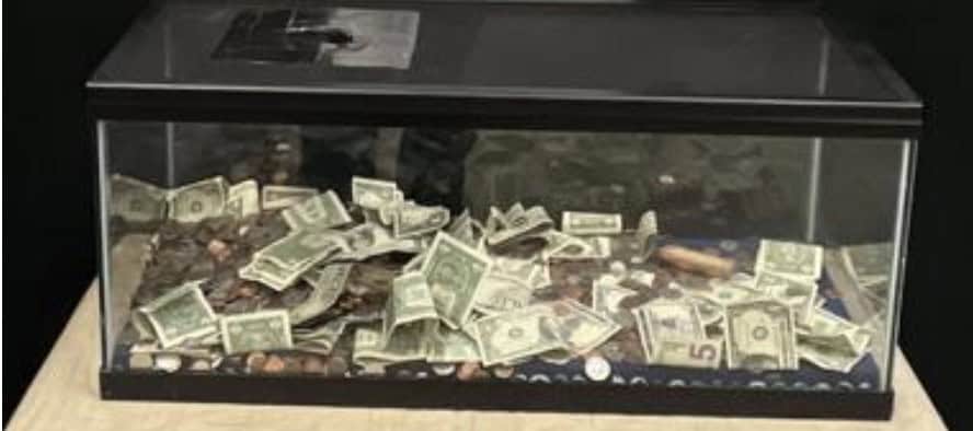 Bellevue Times » New Aquarium Debuts at Bellevue Library » July 22, 2026