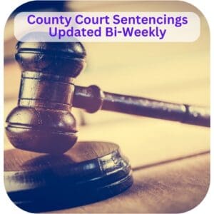 Bellevue Times » Learn How to Access Bellevue's Public Record, Local Police Reports, Sentencings, Home Sales, Marriages, and More Sarpy County County Court Sentencings