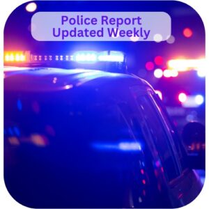Bellevue Times » Learn How to Access Bellevue's Public Record, Local Police Reports, Sentencings, Home Sales, Marriages, and More Police Report