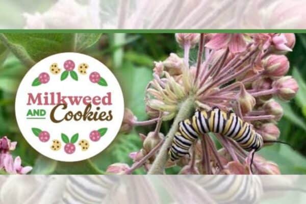 Bellevue Times &raquo; 3rd Annual Milkweed & Cookies Event Tomorrow in Bellevue &raquo; July 21, 2026
