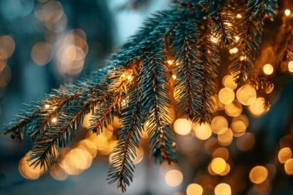 Bellevue Times &raquo; Sarpy County Museum Kicks Off the Season with Giving Tree and Holiday Open House &raquo; July 20, 2026