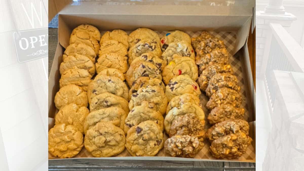 Cozy Dough Cookies Bellevue Times